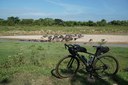 Bike Touring Malaysia