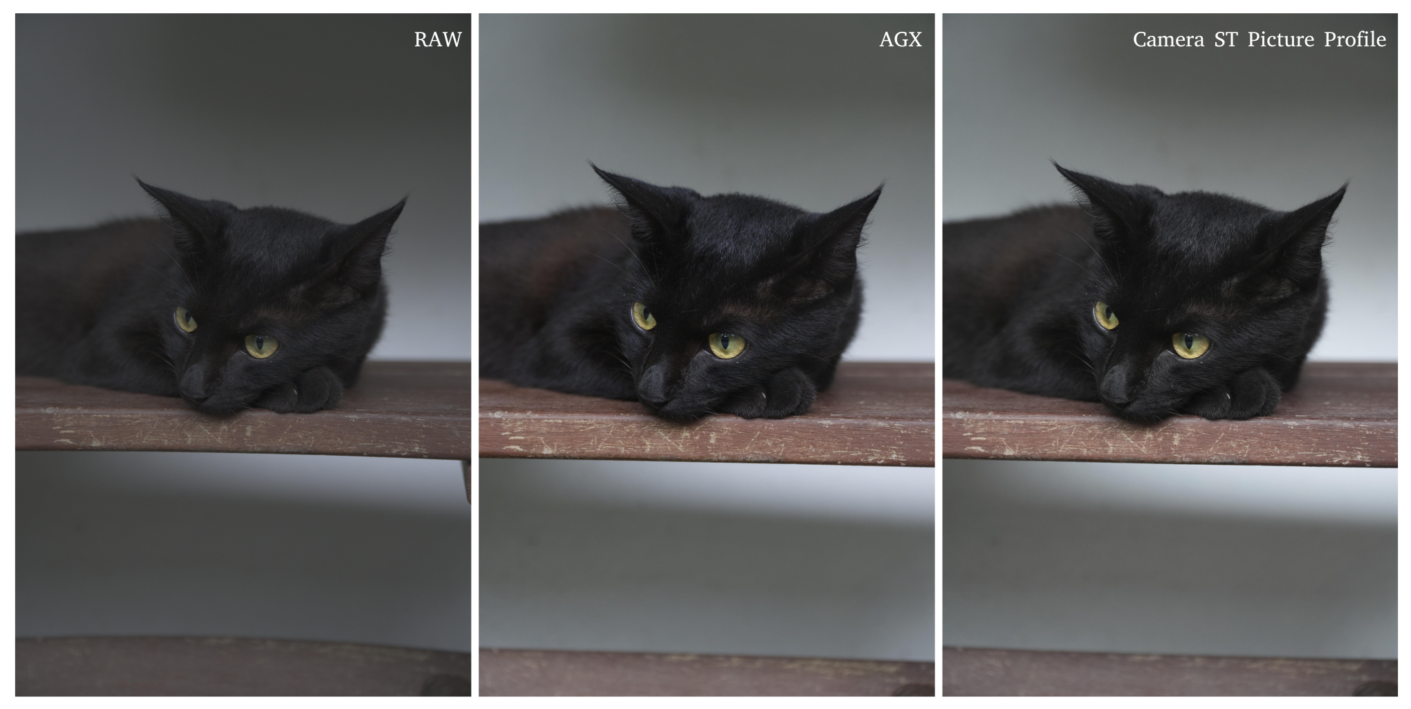 RAW, AGX and ST Picture Profile JPEG