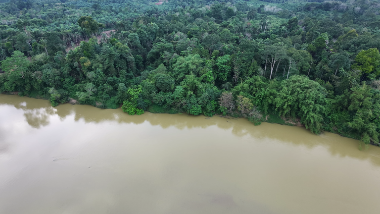 Shot of river and forests taken by DJI Neo 2 Drone