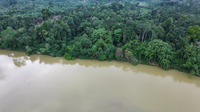 Shot of river and forests taken by DJI Neo 2 Drone