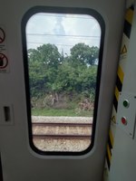 20250926_152255724.JPG