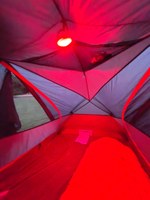 20250927_064854265.JPG
