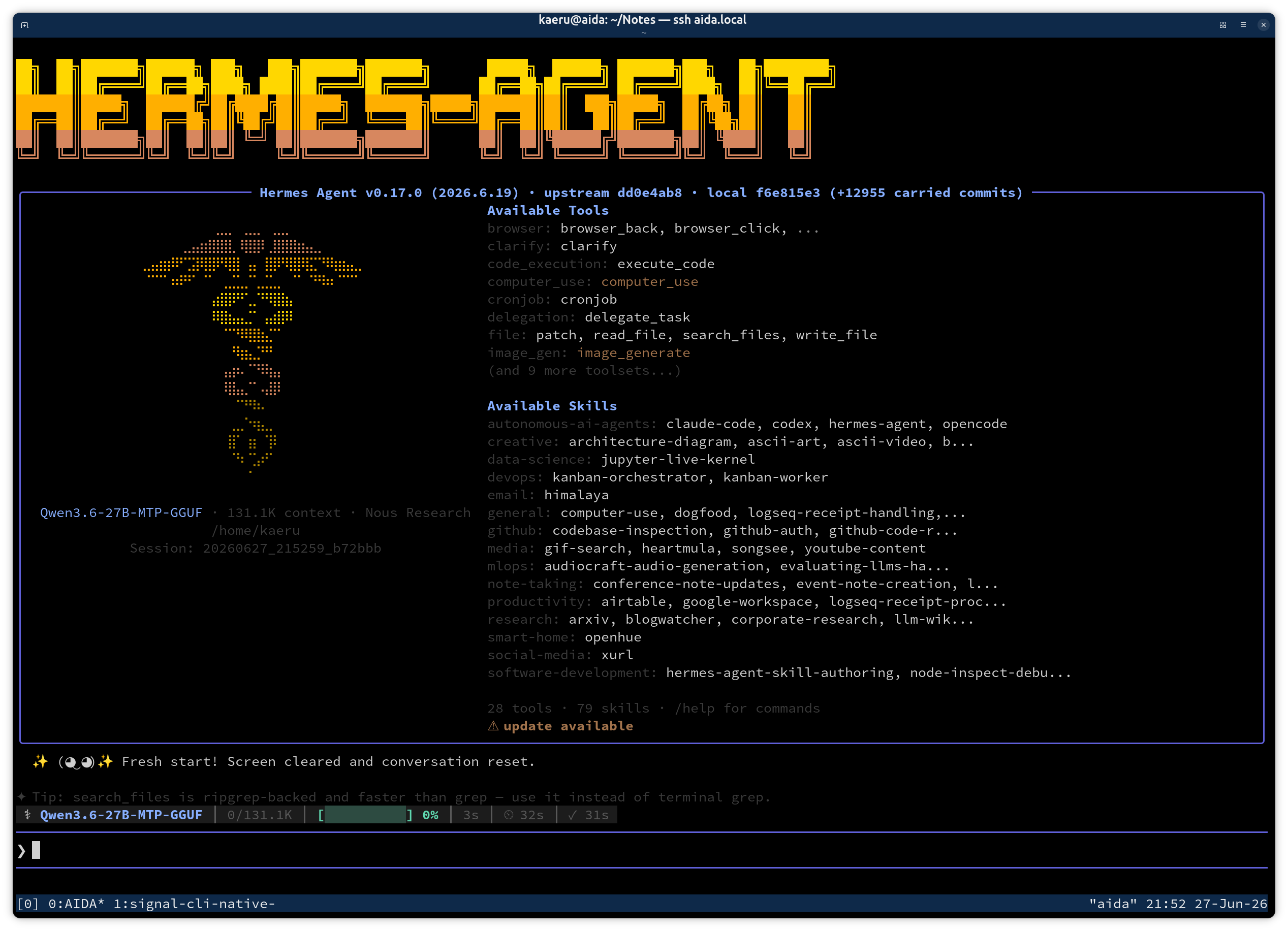 Hermes Agent